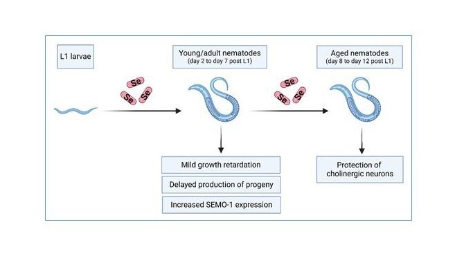 Zytner et al., 2023